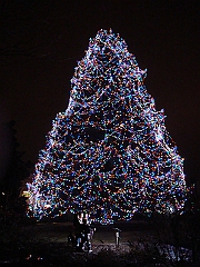 064 Toledo Zoo Light Show [2008 Dec 27]